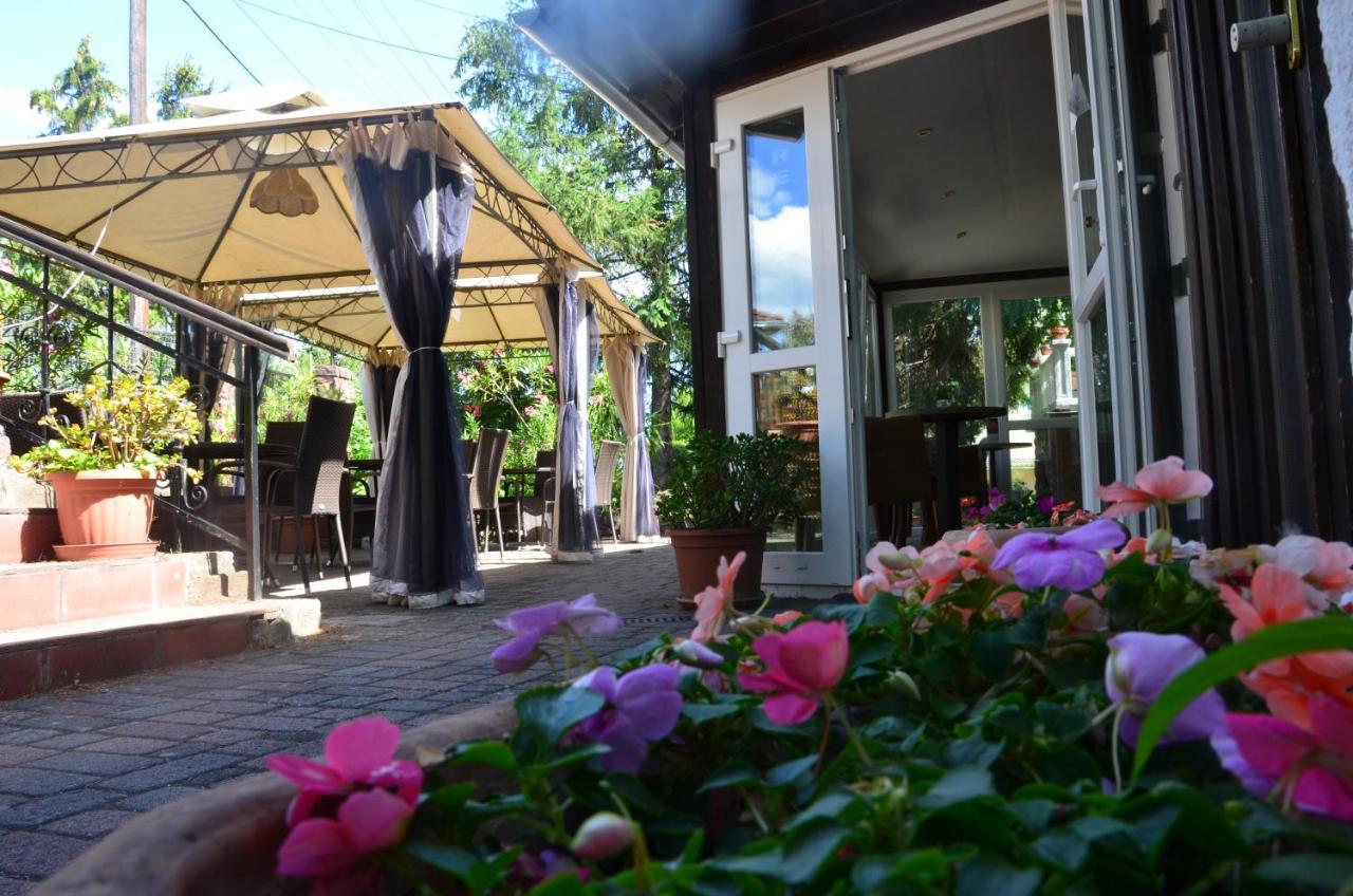 Hotel Viktória Balatonalmádi Zewnętrze zdjęcie