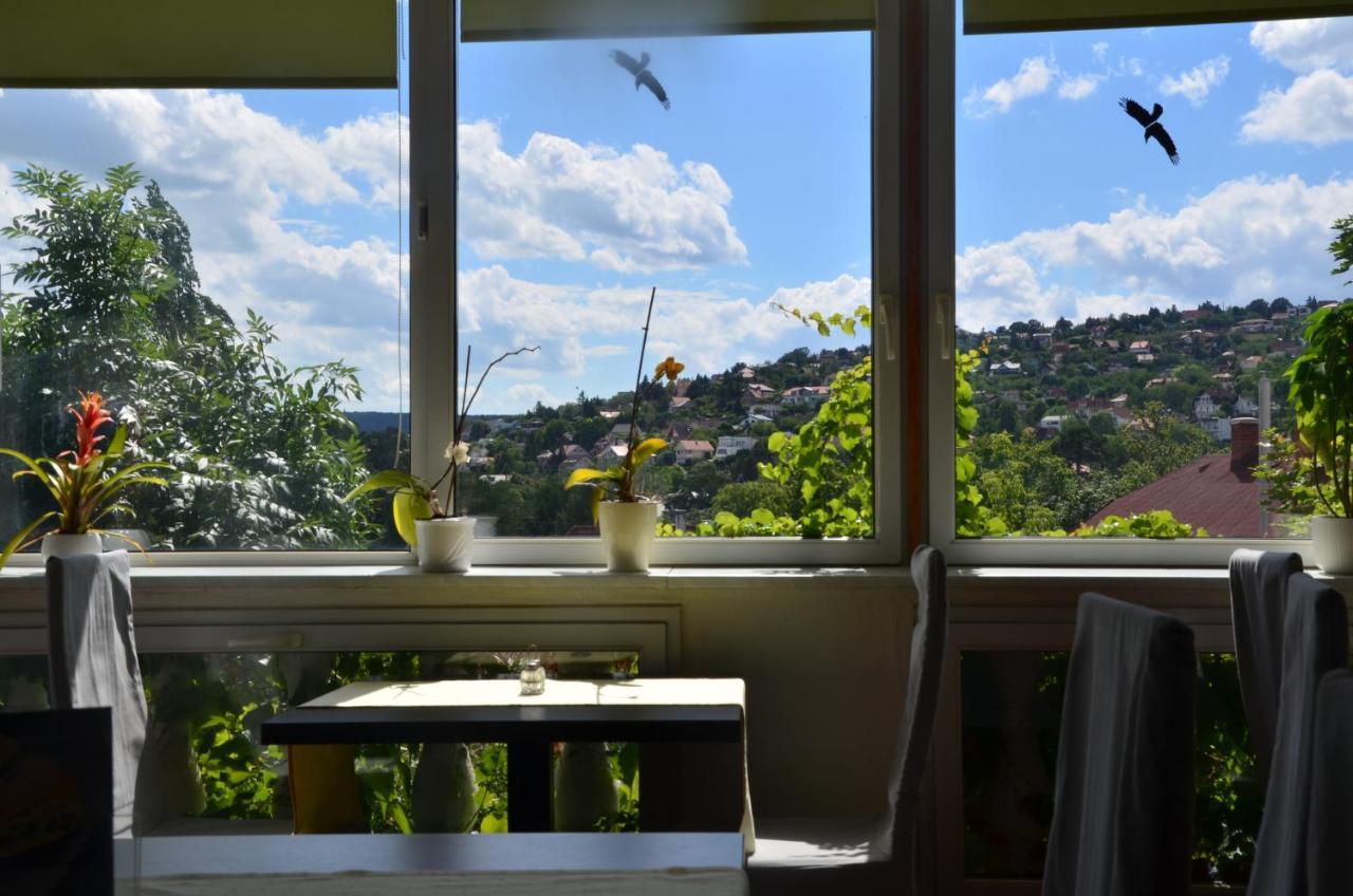 Hotel Viktória Balatonalmádi Zewnętrze zdjęcie
