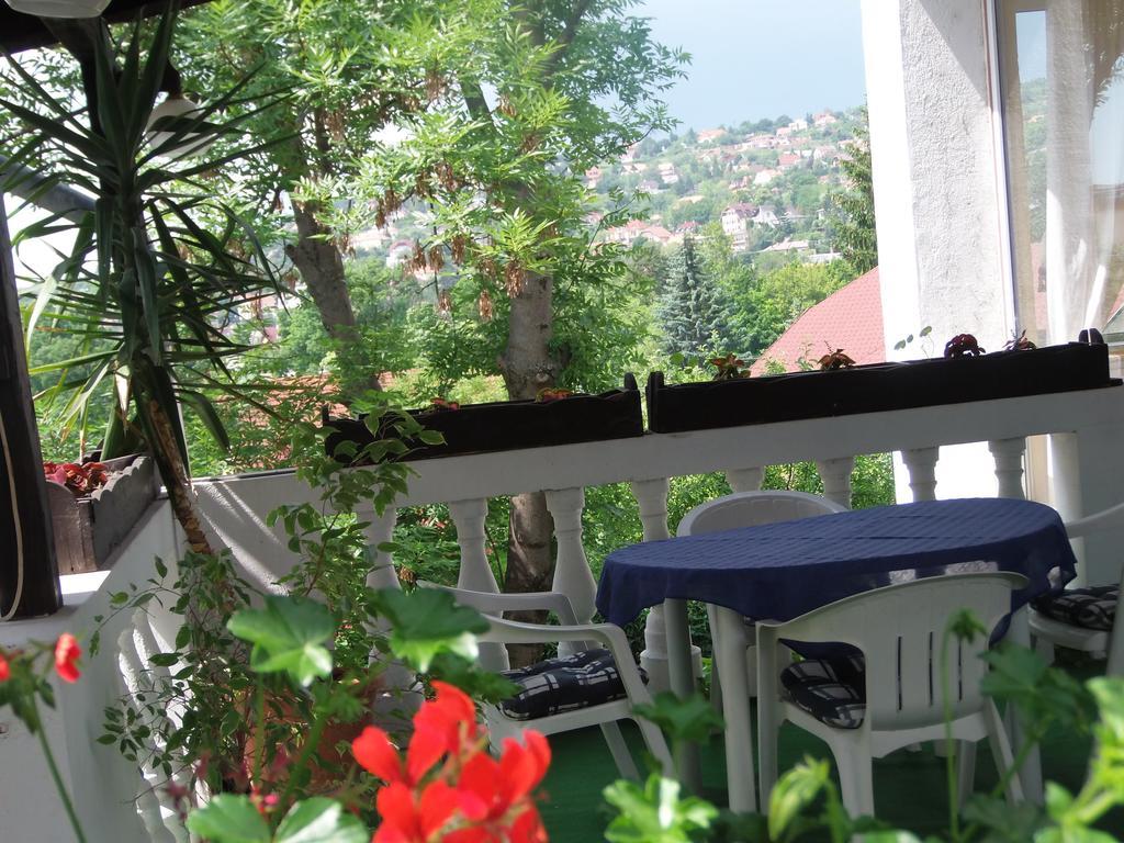 Hotel Viktória Balatonalmádi Zewnętrze zdjęcie